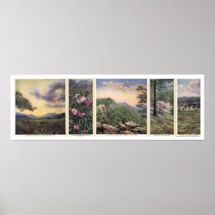 Affiche Land Of The Sky 1917