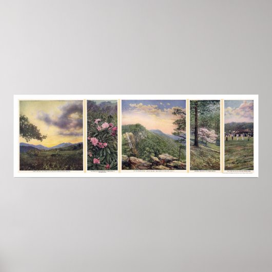 Affiche Land Of The Sky 1917 (Devant)