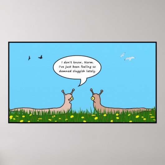 Affiche lente (Devant)