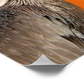 Affiche Let It Be (Coin)