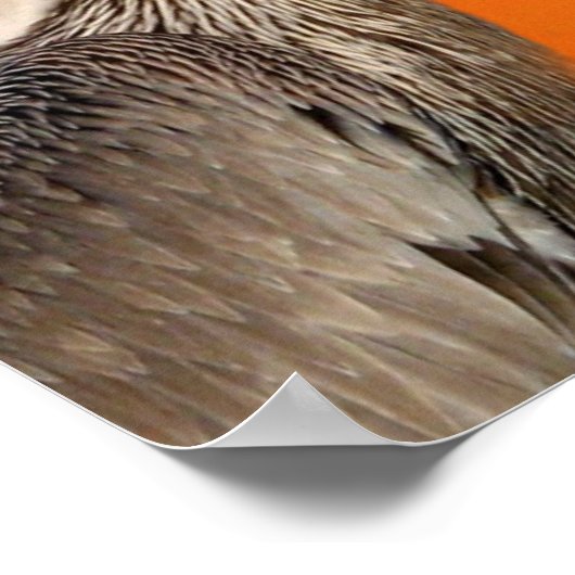 Affiche Let It Be (Coin)