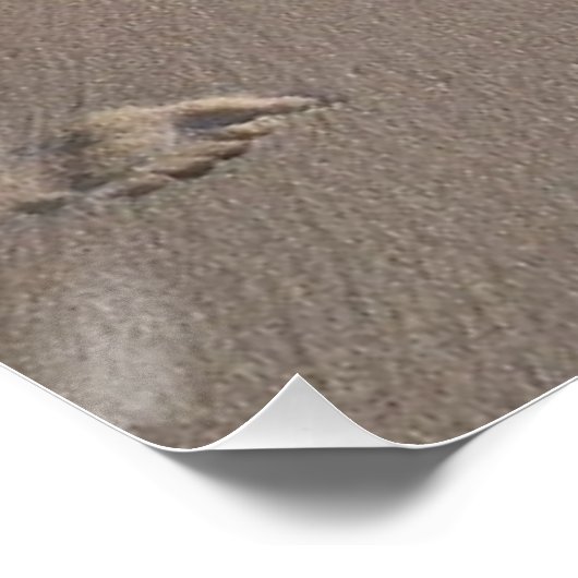 Affiche 'Let People Be' (Coin)