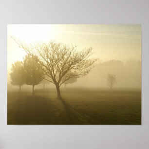Affiche Lever de soleil matinal brumeux doré dans