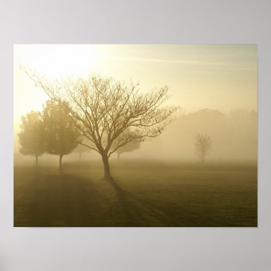 Affiche Lever de soleil matinal brumeux doré dans (Devant)