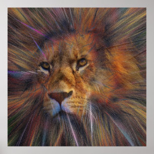 Affiche Lion dans la galerie