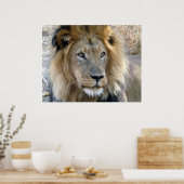 Affiche Lion Mâle (Cuisine)