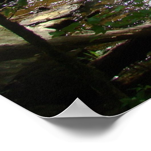 Affiche Living Water II (Coin)