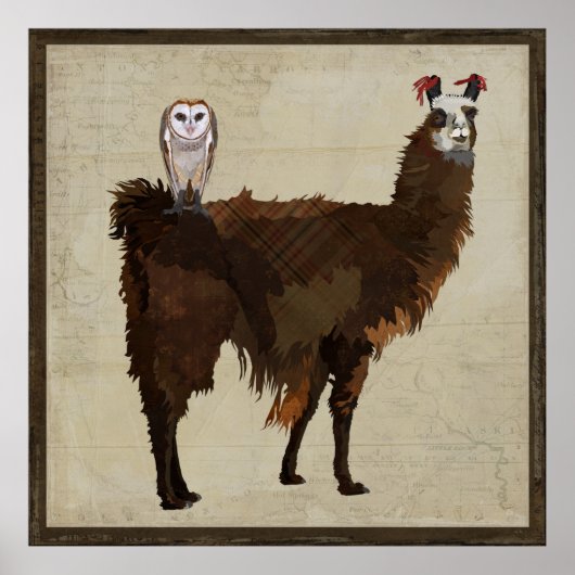 Affiche LLAMA & OWL (Devant)