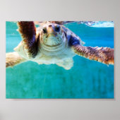 Affiche Loggerhead #4 (Devant)