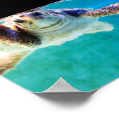 Affiche Loggerhead #4 (Coin)