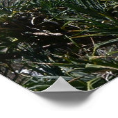 Affiche Lookout At Point Danger Australie (Coin)