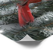 Affiche "Lumière cardinale" Alan Giana (Coin)