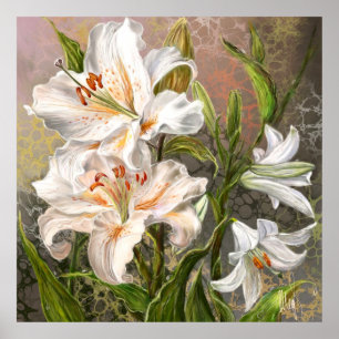 Affiche Lys Blancs