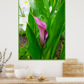 Affiche Lys d'appel Pourpre (Cuisine)