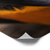 Affiche Macaw Close-Up (Coin)