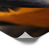 Affiche Macaw Close-Up (Coin)