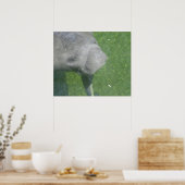 Affiche Manatee Smiles (Cuisine)