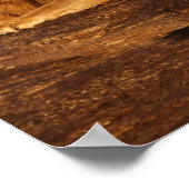 Affiche masculine de deux lions (Coin)