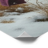 Affiche mat valeur Winter Alice (Coin)