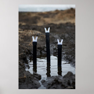 Affiche mate Mud Diving
