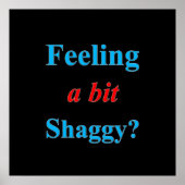 Affiche Matte Feeling a Bit Shaggy (Devant)