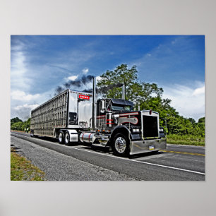 Affiche modèle du B de Brown