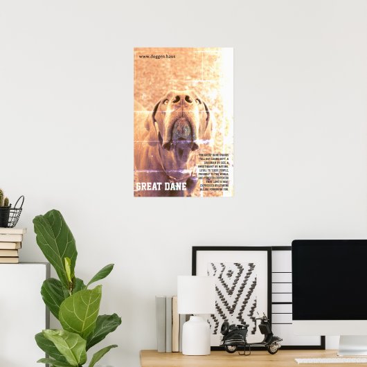 Affiche moderne du Grand Danois vert (Bureau à domicile)