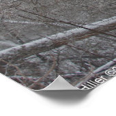 Affiche Monochrome Blizzard (Coin)