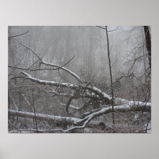 Affiche Monochrome Blizzard (Devant)