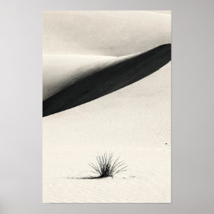 Affiche monochrome sur la nature des ombres des du