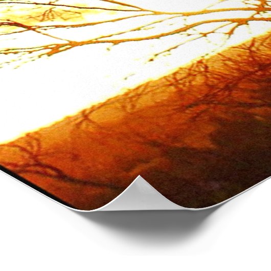 Affiche Moodscape (Coin)