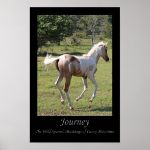 Affiche "Moon Dancer" - Voyage