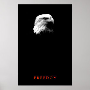 Affiche motivante de liberté aigle chauve vertical