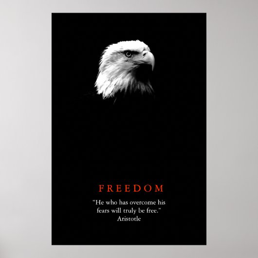 Affiche motivante liberté aigle chauve noir blanc (Devant)