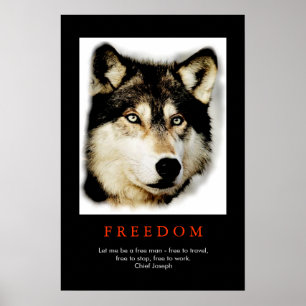 Affiche Motivante Loup aux Yeux d'Esprit de Libert