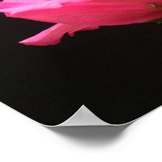 Affiche motivationnelle (Coin)