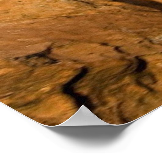 Affiche Mountain Cougar (Coin)