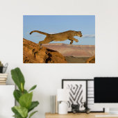Affiche Mountain Cougar (Bureau à domicile)
