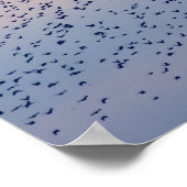 Affiche Murmuration au Coucher du Soleil (Coin)