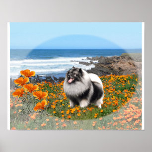 Affiche nationale d'art de logo de Keeshond