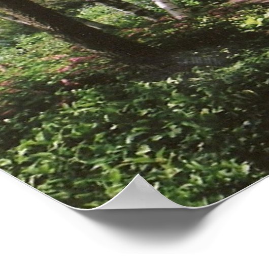 Affiche "N'ayez pas peur" (Coin)