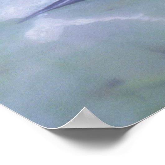 affiche nénuphar (Coin)