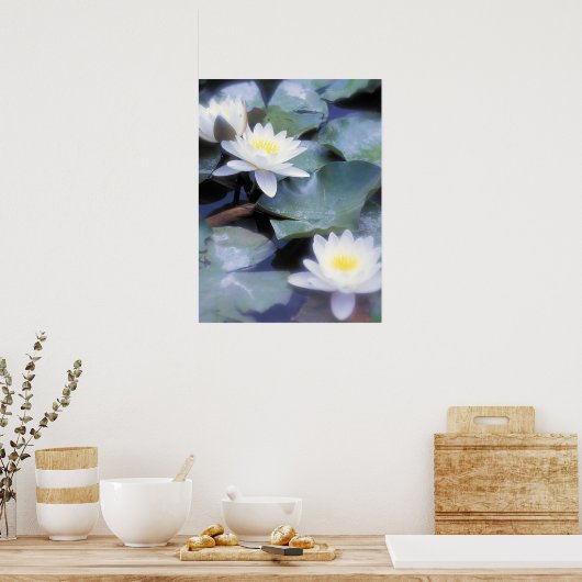 affiche nénuphar (Cuisine)