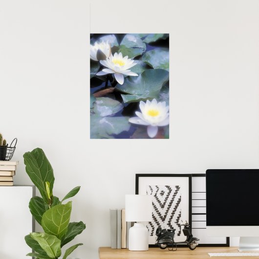 affiche nénuphar (Bureau à domicile)