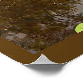 Affiche Nénuphar flottante (Coin)