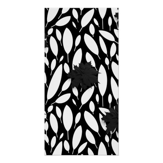 Affiche Noir et Blanc Brillant "Botanic Balance" (Devant)