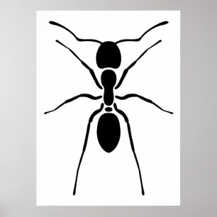 Affiche noire de fourmi