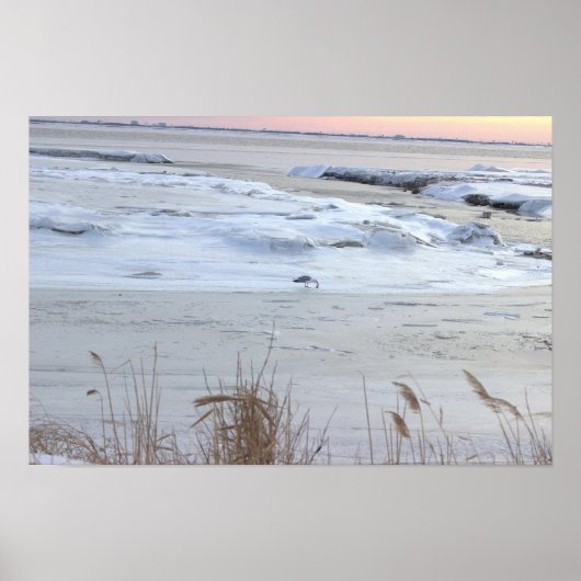 Affiche Océan Gelé avec Mouette (Devant)