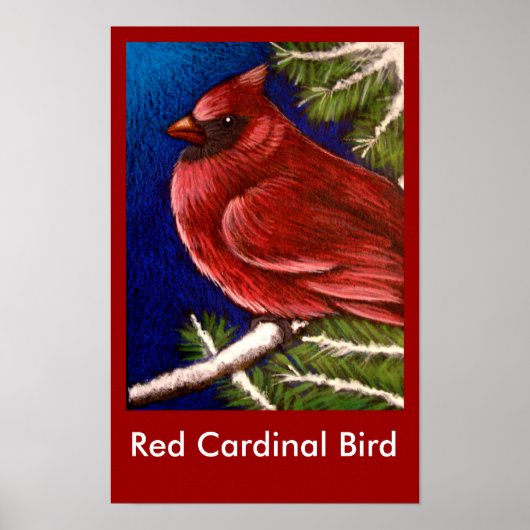 AFFICHE OISEAU CARDINAL ROUGE (Devant)