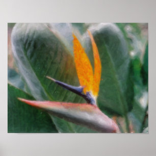 Affiche Oiseau de Paradis Tropical Hawaïen